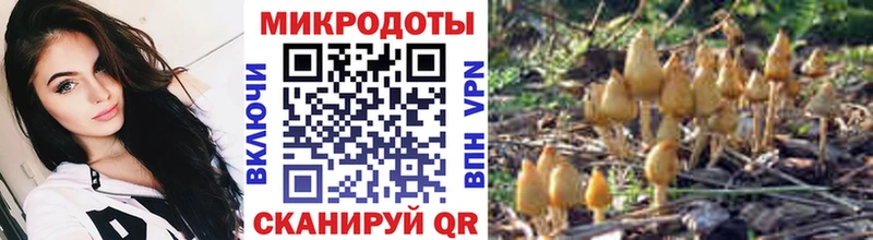 Псилоцибиновые грибы ЛСД  цены   Боготол 
