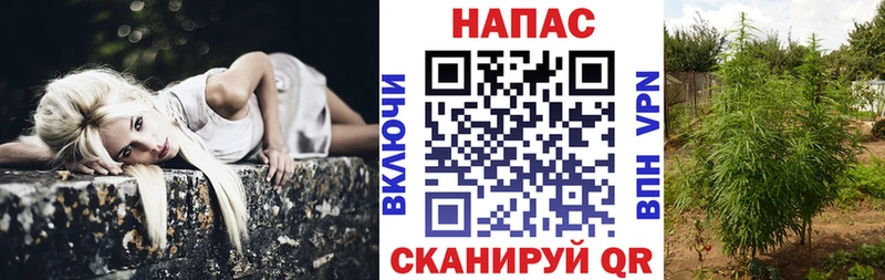 гидра зеркало  Боготол  Марихуана семена 